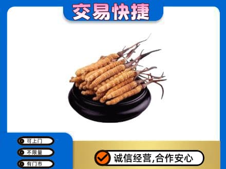 乌拉特前旗高价回收冬虫夏草多少钱每克